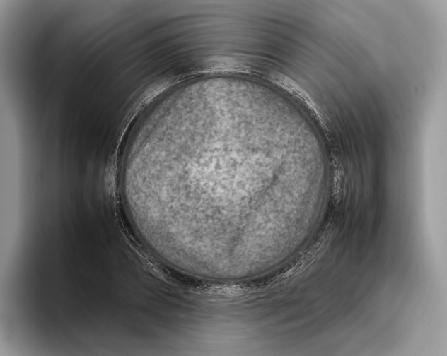 X0000095940882200802011039