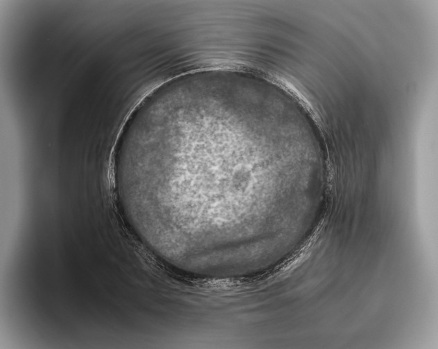 X0000095940883200802011039