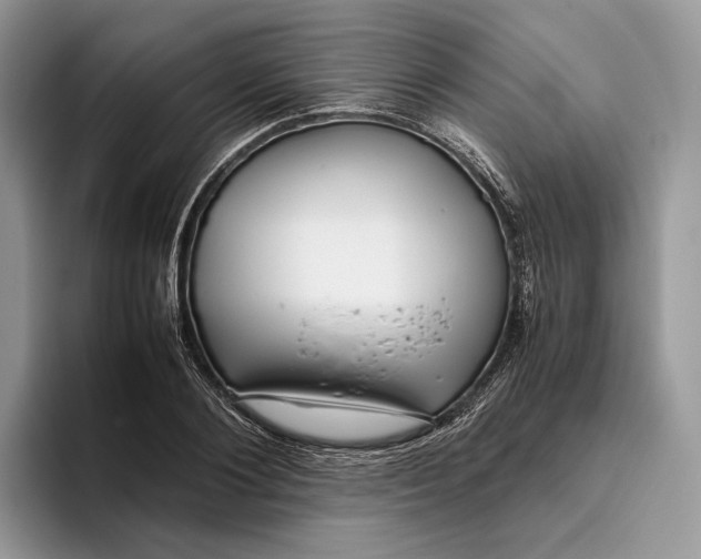 X0000095940884200802011039