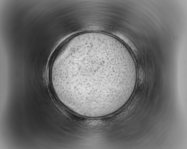 X0000095940886200802011039