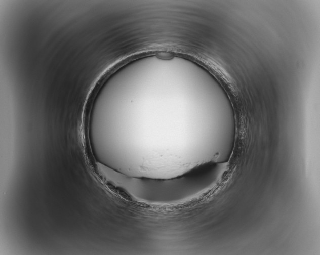 X0000095940888200802011039