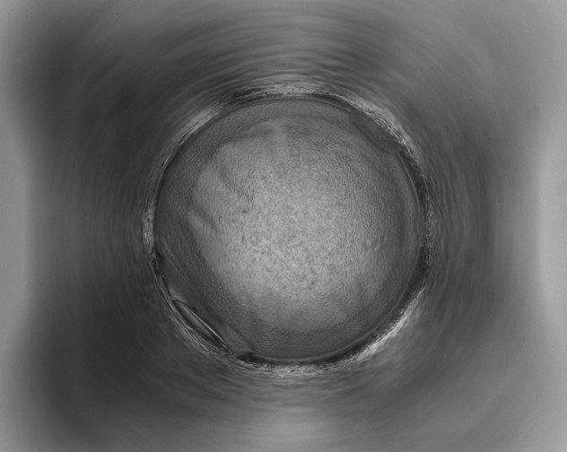 X0000095940889200802011039