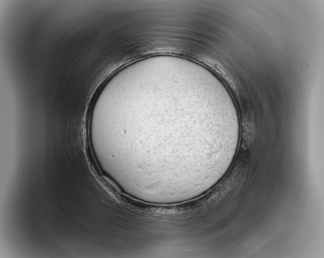 X0000095940890200802011039