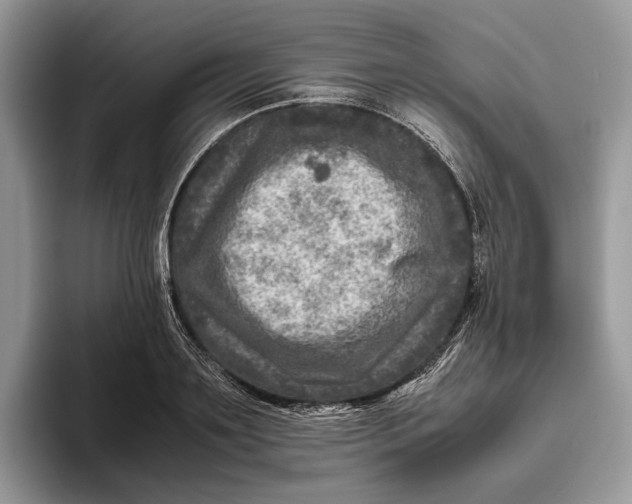 X0000095940891200802011039