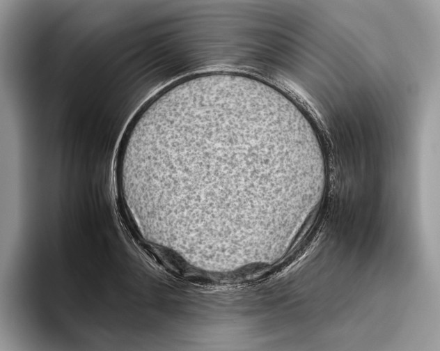 X0000095940892200802011039