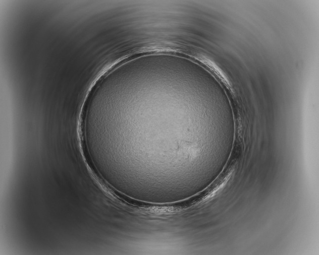 X0000095940893200802011039