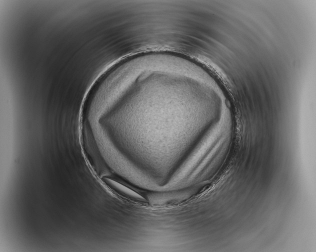 X0000095940894200802011039