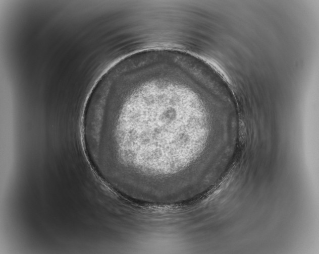 X0000095940895200802011039