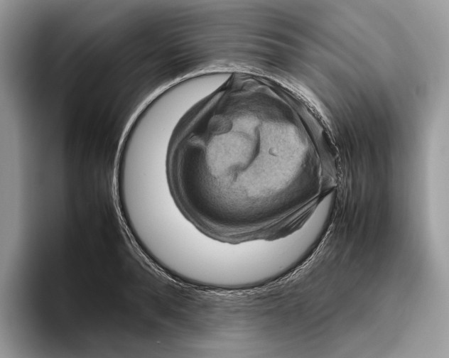 X0000095940896200802011039