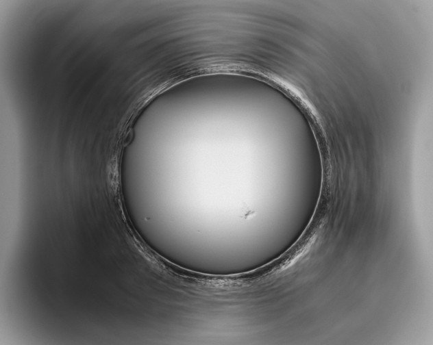 X0000095940897200802011039