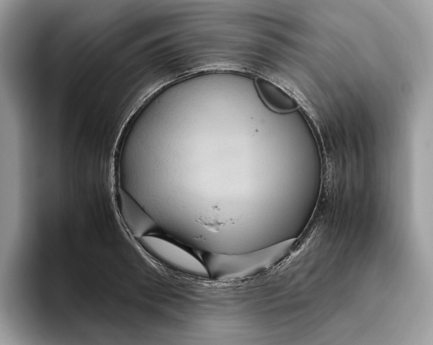 X0000095940898200802011039