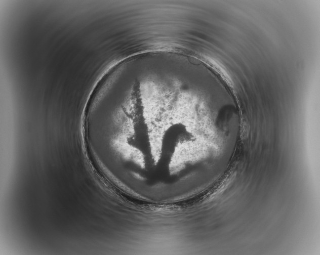 X0000095940899200802011039