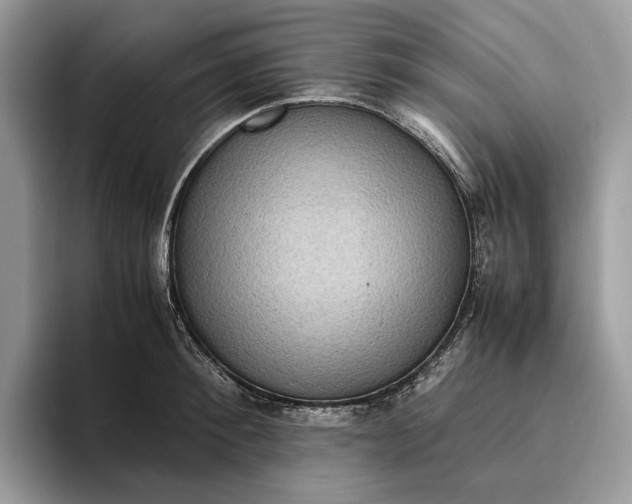 X0000095940900200802011039