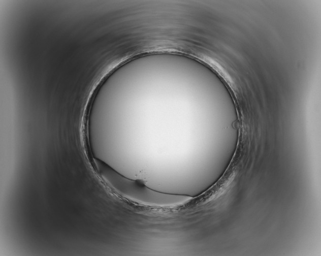 X0000095940901200802011039