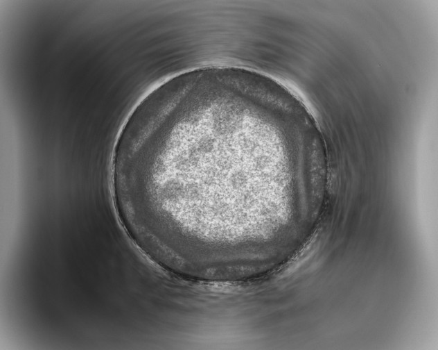 X0000095940903200802011039