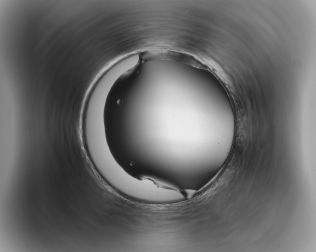 X0000095940904200802011039