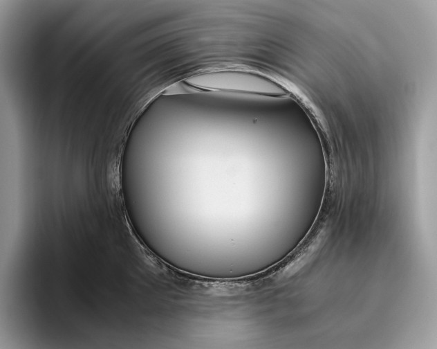 X0000095940905200802011039