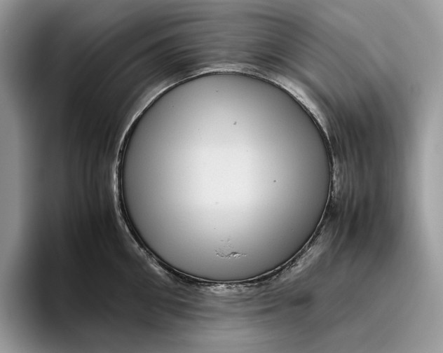 X0000095940906200802011039