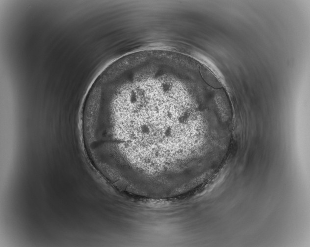 X0000095940907200802011039