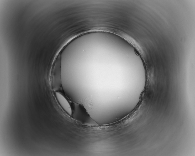 X0000095940908200802011039