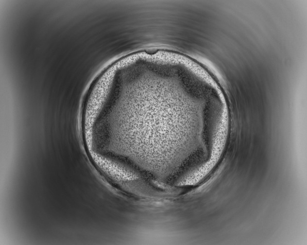 X0000095940910200802011039