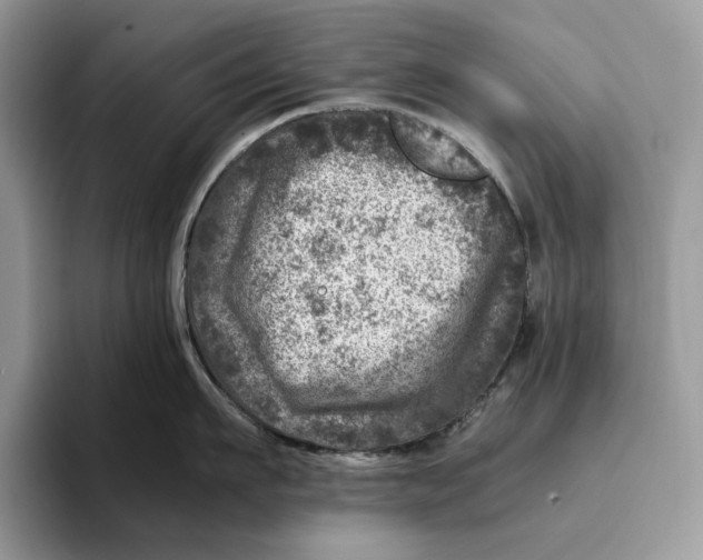 X0000095940911200802011039