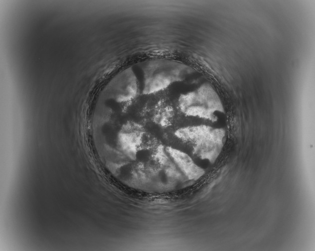 X0000095940913200802011038