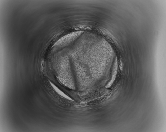 X0000095940915200802011038