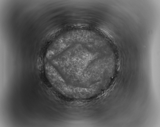 X0000095940917200802011038