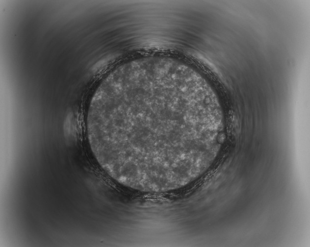 X0000095940918200802011038