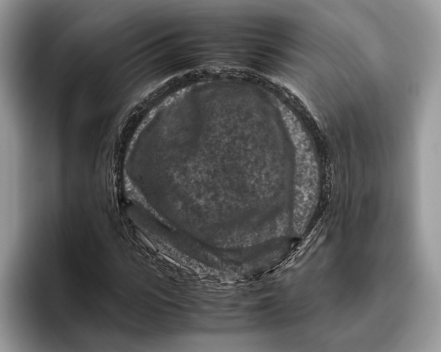 X0000095940919200802011038