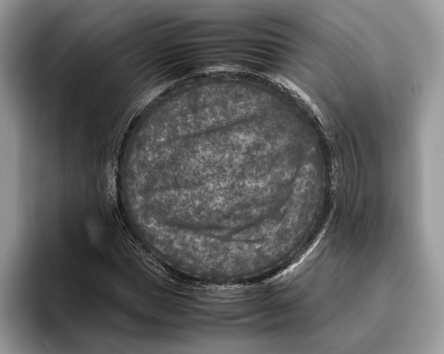 X0000095940921200802011038