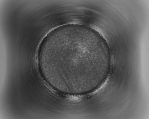 X0000095940923200802011038