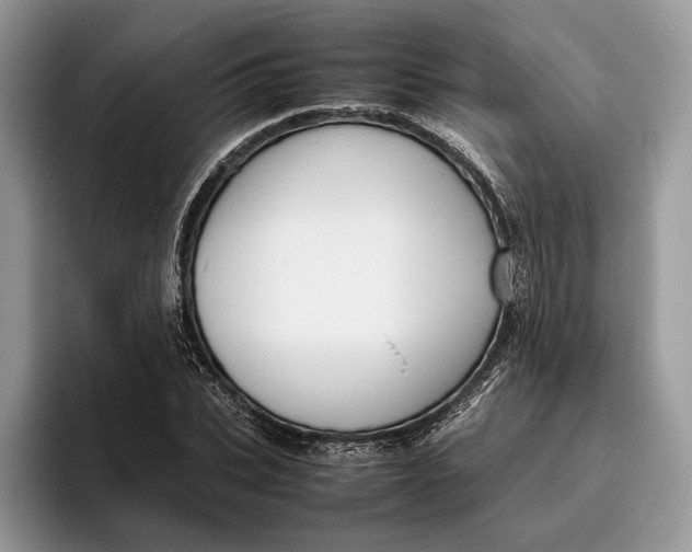 X0000095940927200802011038