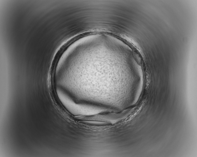 X0000095940928200802011038