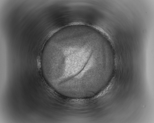 X0000095940929200802011038