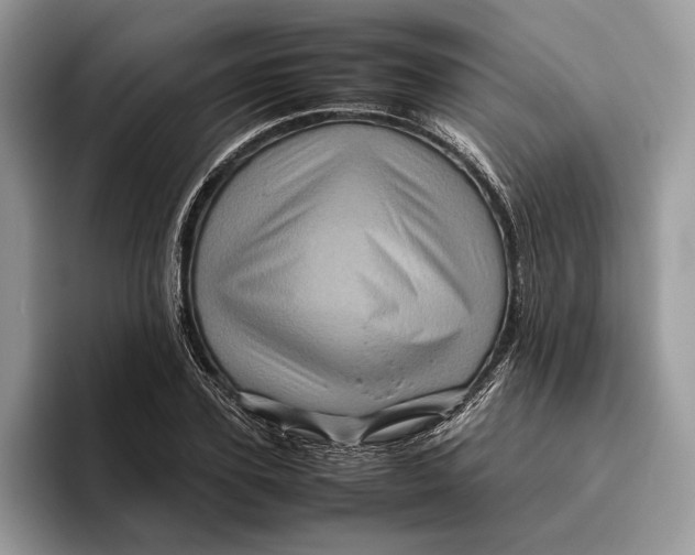 X0000095940931200802011038