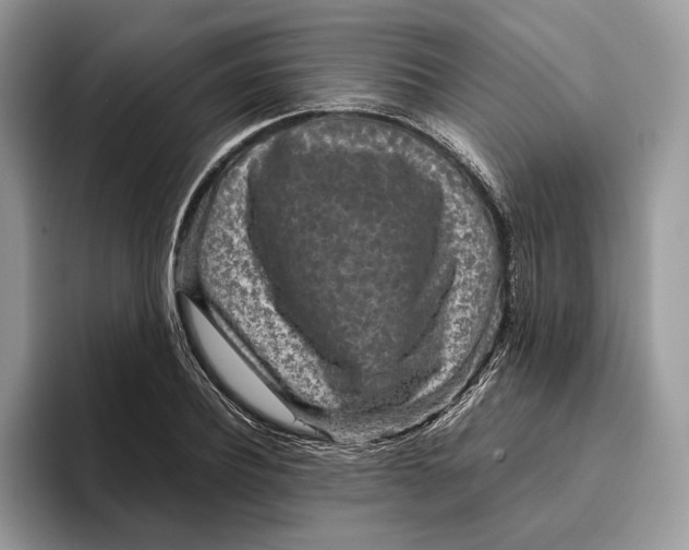 X0000095940932200802011038