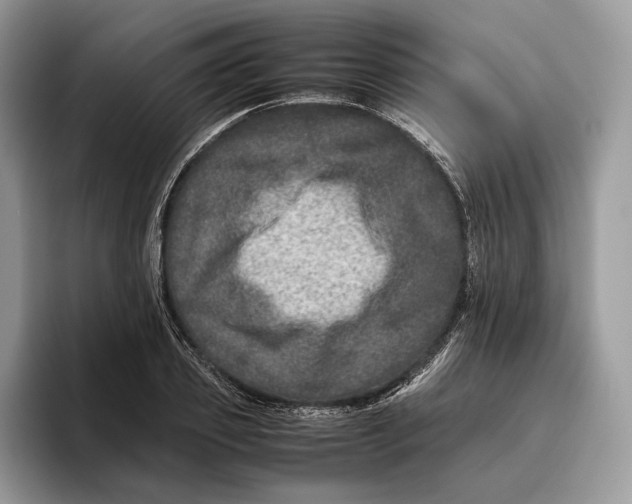 X0000095940933200802011038