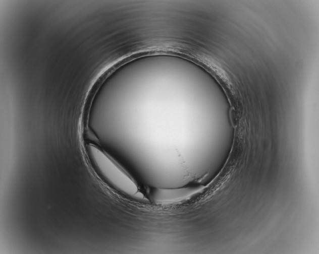 X0000095940936200802011039