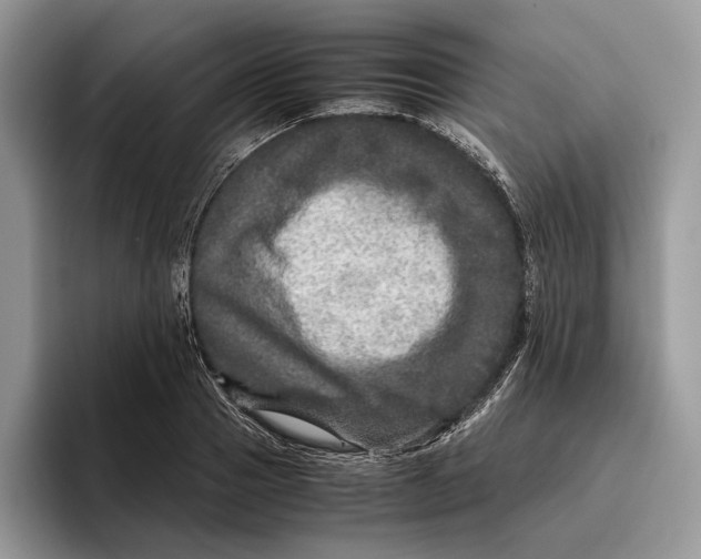 X0000095940937200802011039