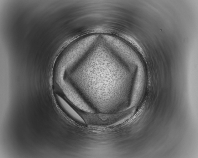 X0000095940938200802011039