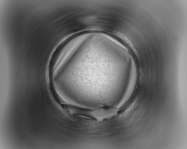 X0000095940939200802011039