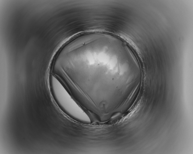 X0000095940941200802011039