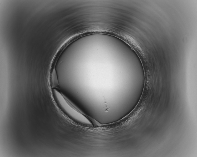 X0000095940942200802011039