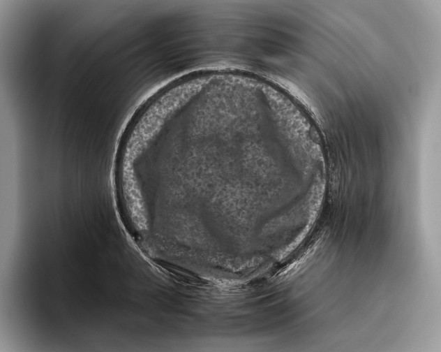 X0000095940943200802011039