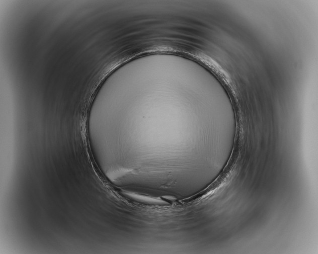 X0000095940945200802011039