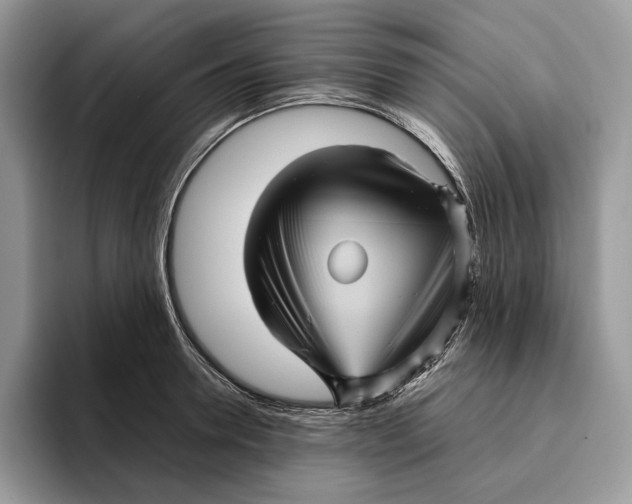 X0000095940946200802011039