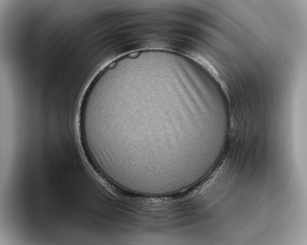 X0000095940947200802011039