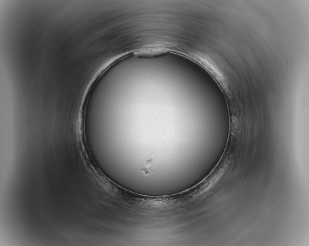 X0000095940948200802011039